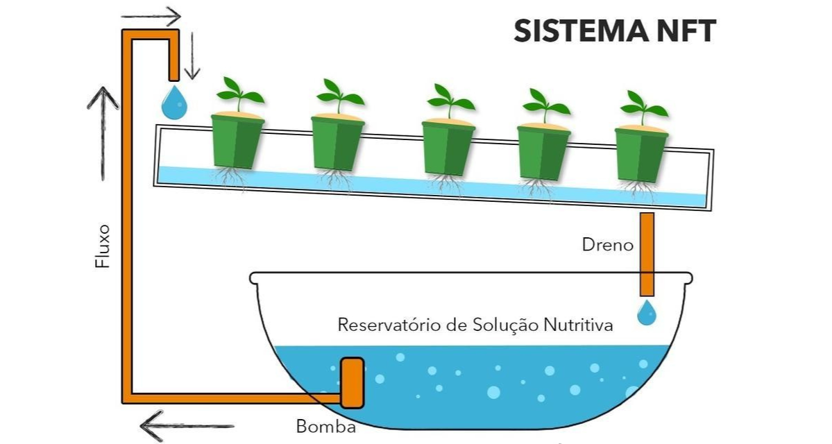 como funciona a hidroponia - diagrama hidroponico completo